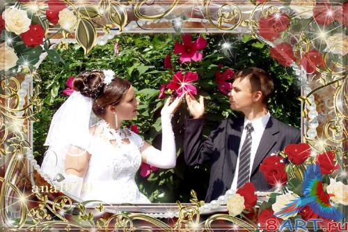 ����� � ������ ���� �������� � ����� ����� ������ ������� �������