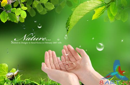 Source - Morning Clear Water