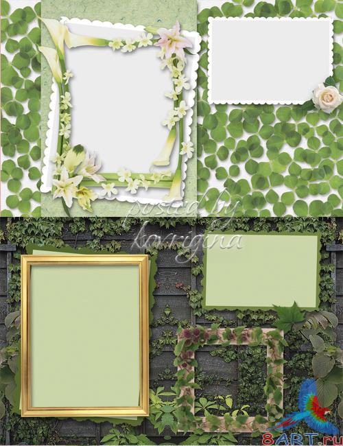 "��������� ������", ���� 8 ("Flower Album", Part 8)