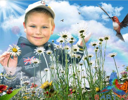 ������ PSD �����