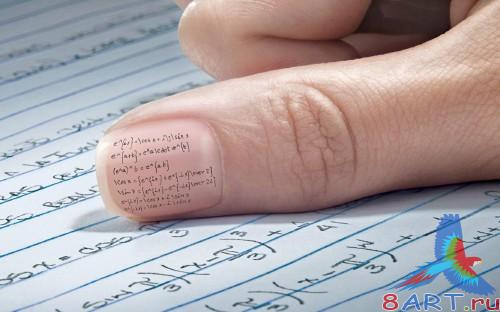 SuperMacro Wallpapers