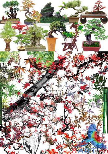 ������� ���� Photoshop - ��������