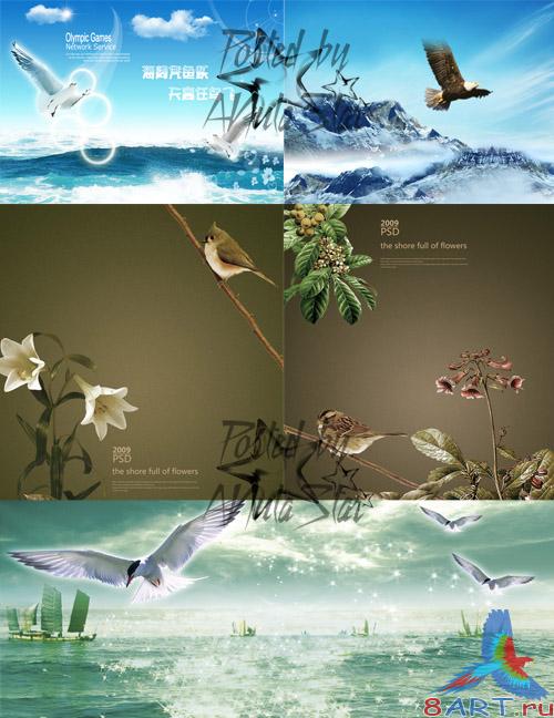 PSD - Birds: seagull, Kite and sparrow | Птицы: чайка, коршун равно воробей PSD - Birds: seagull, Kite and sparrow | Птицы: чайка, коршун также воробей