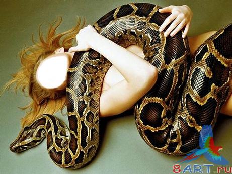 ������ �� ���� ������� �� ������