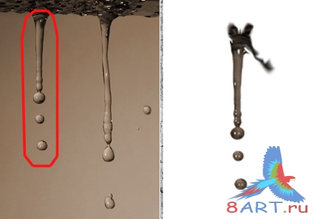 Роза из воды в фотошопе Роза из воды в фотошопе