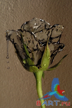 Роза из воды в фотошопе Роза из воды в фотошопе