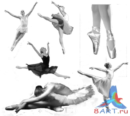 ����� ��������