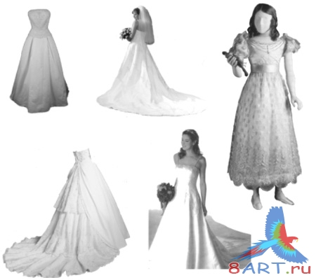 ����� ��������� ������