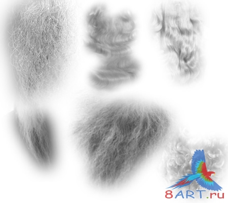 ����� ����� �����