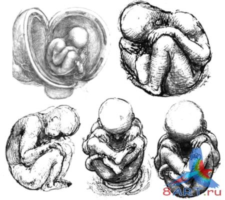 ����� ��������