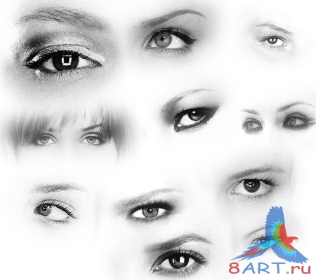 ����� ����� 1