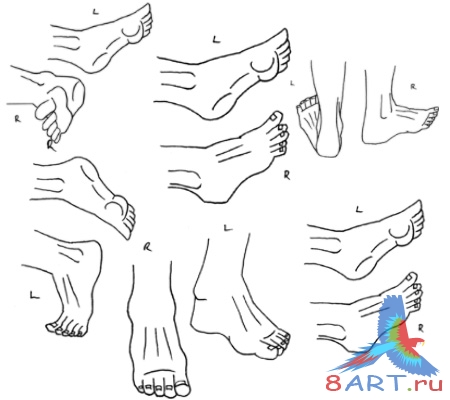 ����� ������