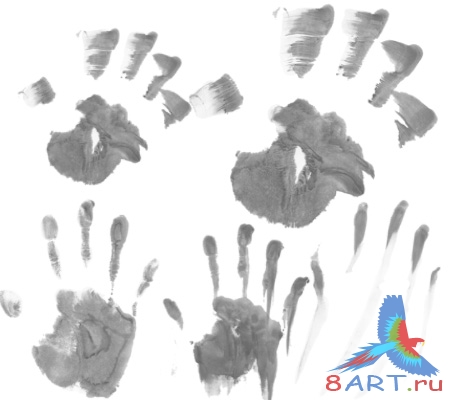 ����� ��������� �������