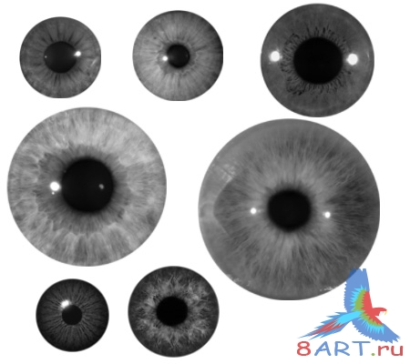 ����� ������