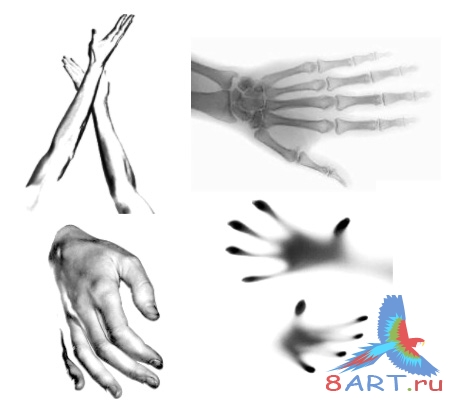 ����� ����