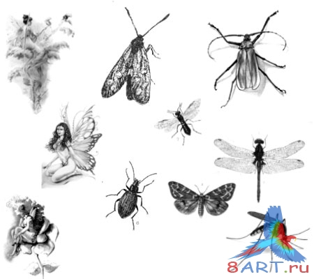 ����� ���������