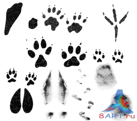 ����� �����