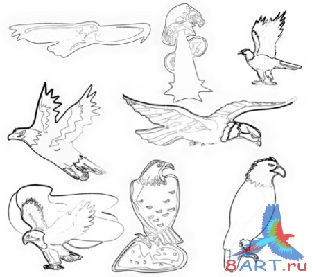 ����� �����