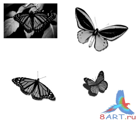 ����� �������