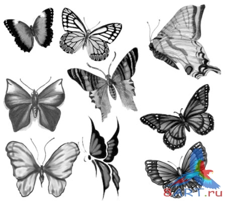 ����� ������� 1