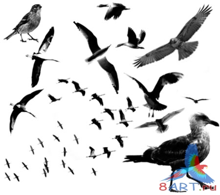 ����� ����� 2