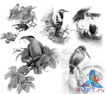 ����� ����� 3