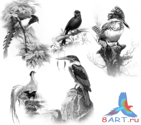 ����� ����� 4