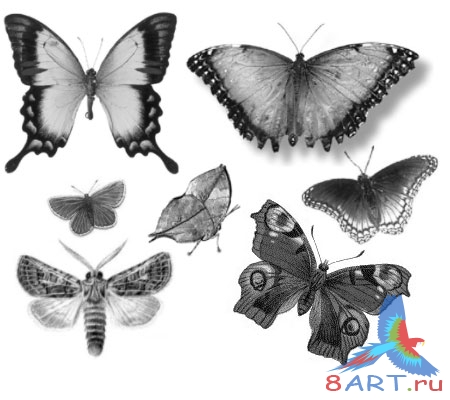 ����� ������� 3