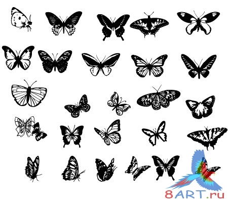 ����� ������� 4