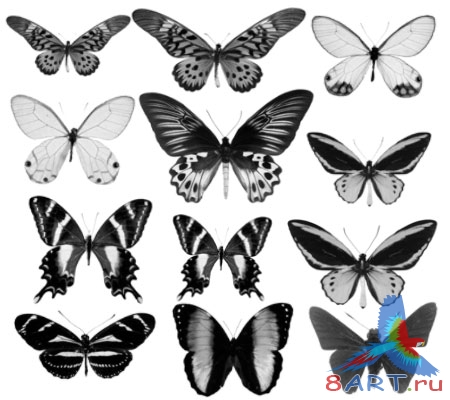 ����� ������� 5