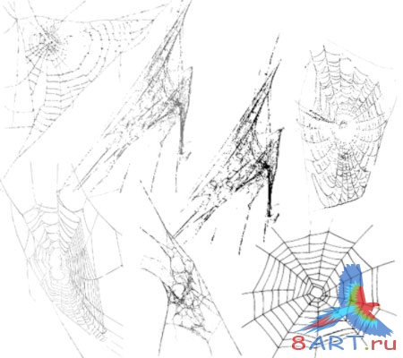 ����� �������