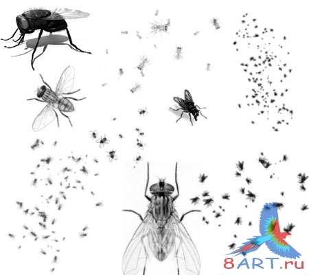 ����� ����