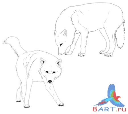 ����� �����