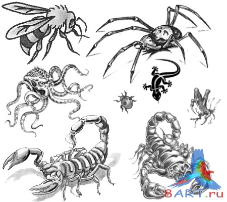 ����� ����� � ���������