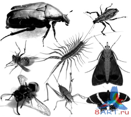 ����� ��������� 1