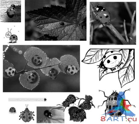 ����� �������