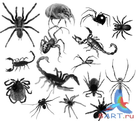 ����� ����� � ��������� 1