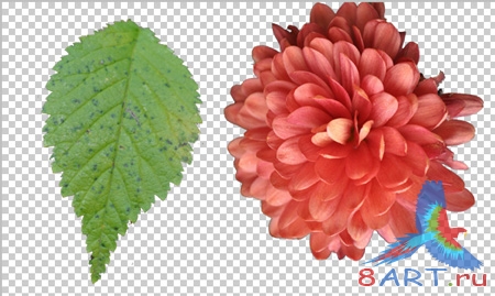Макет для сайта в Photoshop Макет для сайта в Photoshop