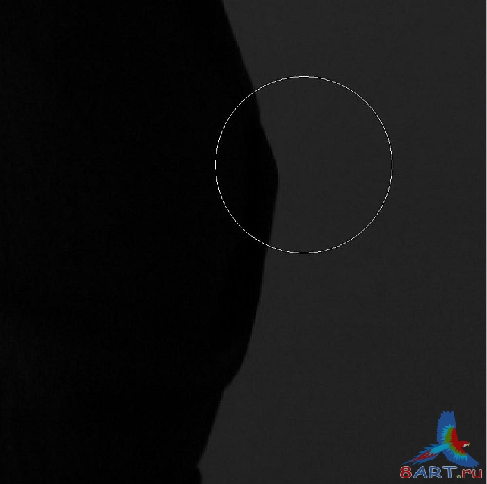 Обработка чёрно-белой фотографии Обработка чёрно-белой фотографии
