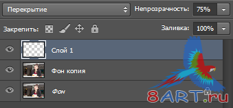 Ретушь фото и его тонирование Ретушь фото и его тонирование